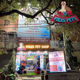 Vikas