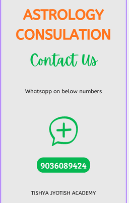 Astrologer Abhishek Paliwal ji