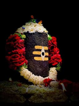 Pandit Vijay