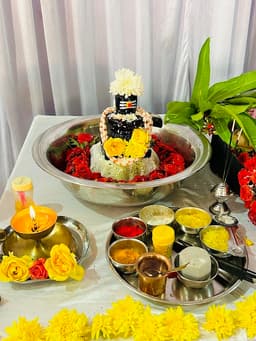 Shri Sunil Krishna Swami Ji Maharaj (Sri Hanuman Astrology Centre)